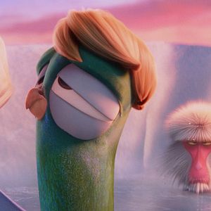 Bilder Störche - Abenteuer im Anflug