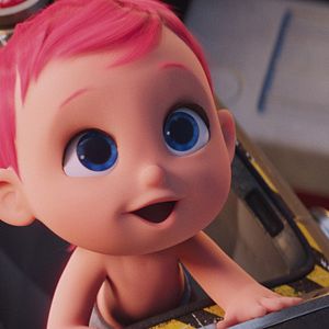 Bilder Störche - Abenteuer im Anflug