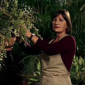 Bilder O Silêncio do Céu