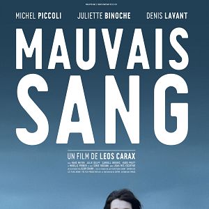 Bilder Die Nacht ist jung