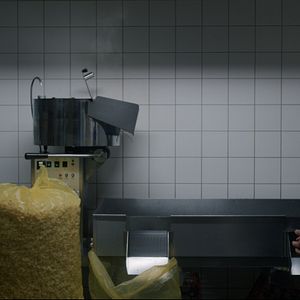 Bilder Samuel Schneider