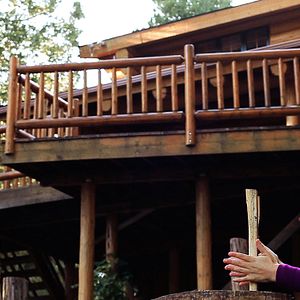 Bilder Olivia Tennet