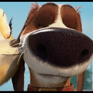 Bilder Ozzy - Ein Held auf vier Pfoten