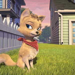 Bilder Ozzy - Ein Held auf vier Pfoten