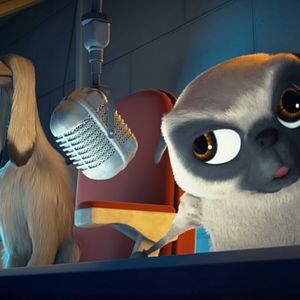 Bilder Ozzy - Ein Held auf vier Pfoten