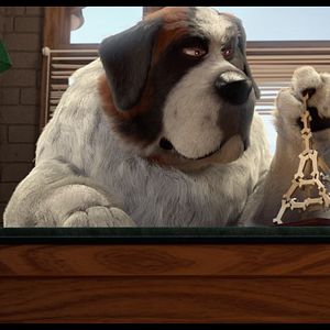 Bilder Ozzy - Ein Held auf vier Pfoten