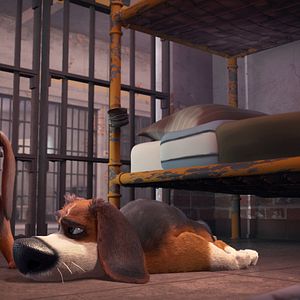 Bilder Ozzy - Ein Held auf vier Pfoten