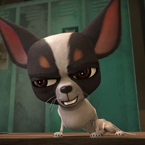 Bilder Ozzy - Ein Held auf vier Pfoten