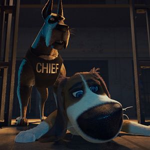 Bilder Ozzy - Ein Held auf vier Pfoten