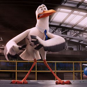 Bilder Störche - Abenteuer im Anflug