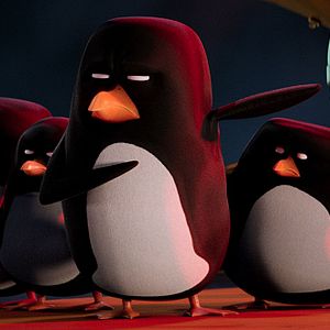 Bilder Störche - Abenteuer im Anflug