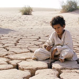 Bilder Theeb