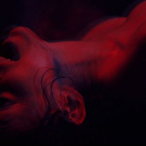 Bilder We Are The Flesh