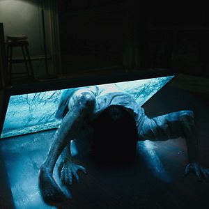 Bilder Bonnie Morgan