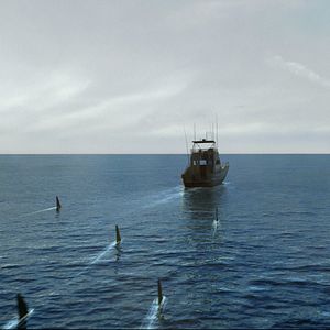 Bilder Planet Of The Sharks