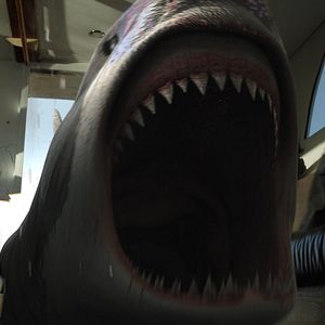 Bilder Planet Of The Sharks