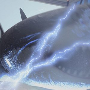 Bilder Planet Of The Sharks