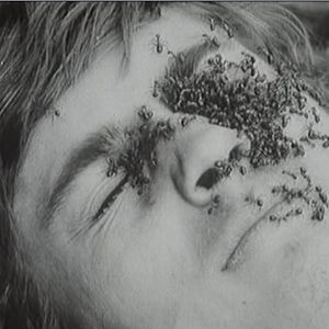 Bilder Diamanten der Nacht