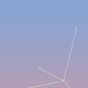 Bilder Everybody's Cage