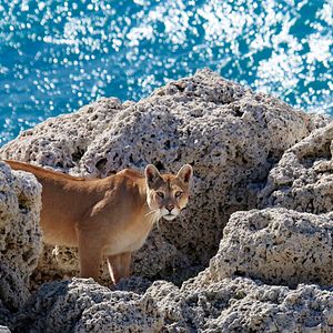 Bilder El viaje de Unai