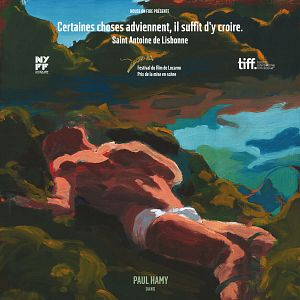 Bilder Der Ornithologe