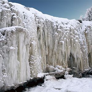 Bilder Wildes Baltikum