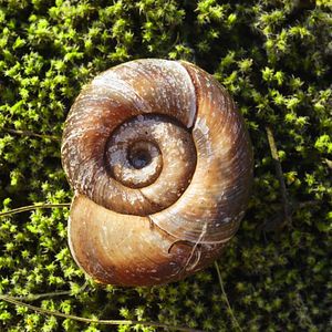 Bilder 15 Corners of the World