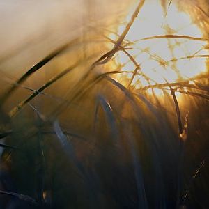 Bilder 15 Corners of the World