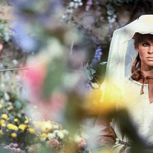 Bilder Die Herrin von Thornhill