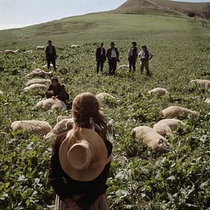 Bilder Die Herrin von Thornhill