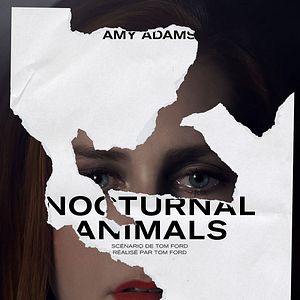 Bilder Nocturnal Animals