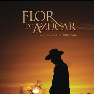 Bilder Flor de Azúcar