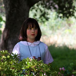 Bilder The Maiden and the Princess