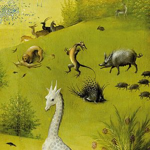 Bilder Hieronymus Bosch – Garten der Lüste