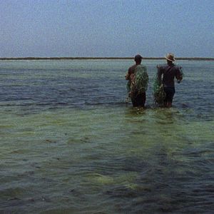 Bilder Brûle la mer