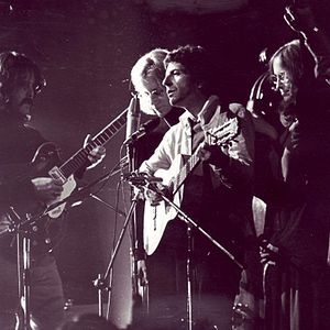 Bilder Bird on a Wire