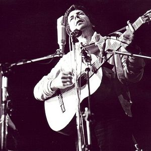 Bilder Bird on a Wire