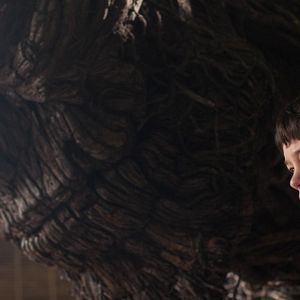 Bilder Lewis MacDougall