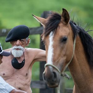 Bilder Rogério Duarte, o Tropikaoslista