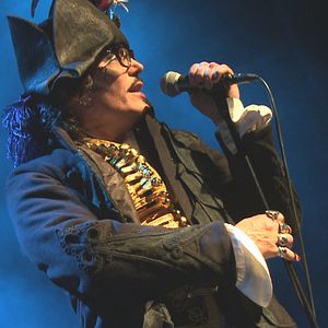 Bilder The Blueblack Hussar