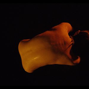 Bilder We Are The Flesh