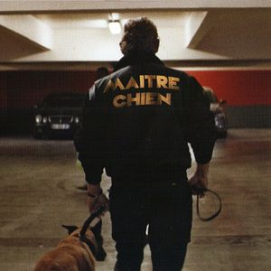 Bilder Maître-Chien
