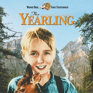 Bilder Die Wildnis ruft