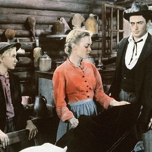 Bilder Die Wildnis ruft