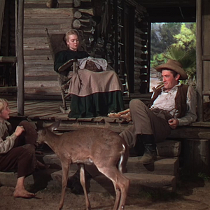 Bilder Die Wildnis ruft