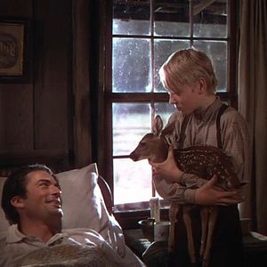 Bilder Die Wildnis ruft