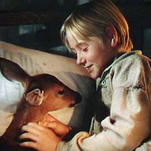 Bilder Die Wildnis ruft