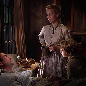 Bilder Die Wildnis ruft