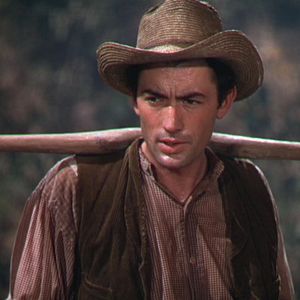 Bilder Die Wildnis ruft