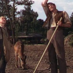 Bilder Die Wildnis ruft